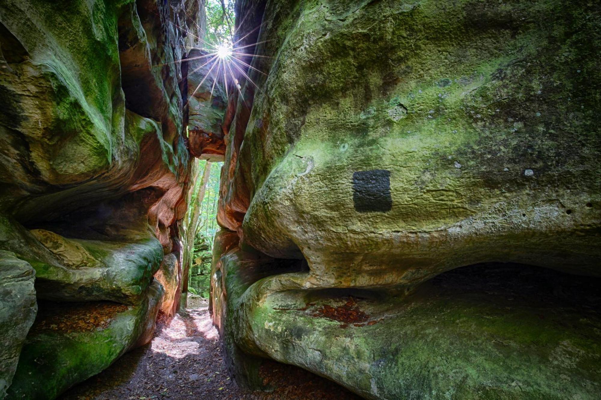 ホテル オーベルジュ ルスティーク ボーフォール エクステリア 写真
